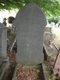 image of grave number 113583